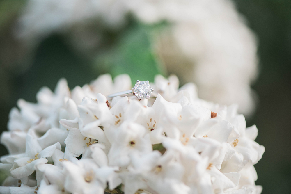 Engagement Ring on Hydrangea Flowers