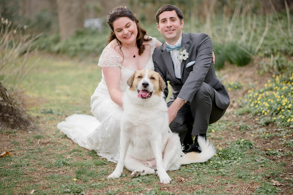 Bride and Groom Portraits with Dog