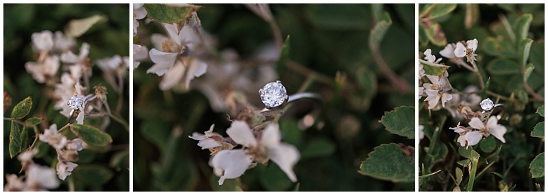 engagement ring details